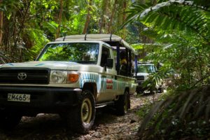 Safari 4x4 dans les hauteurs de Tahiti, forêts tropicales et cascades